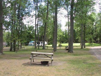 מלון ווסאגה ביץ' Jell E Bean Campground And Trailers מראה חיצוני תמונה